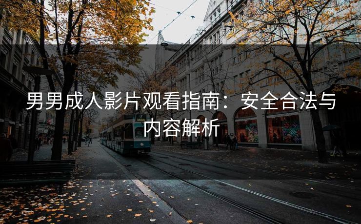 男男成人影片观看指南:安全合法与内容解析