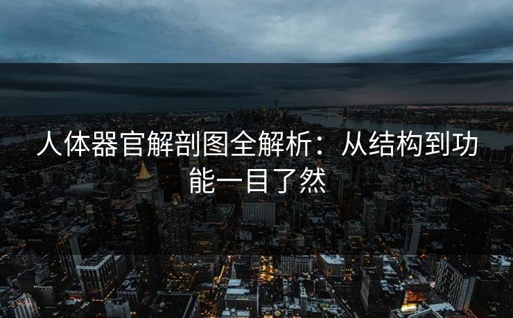 人体器官解剖图全解析：从结构到功能一目了然